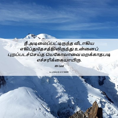 Picture 06 - உபாகமம் 6:12 TAMIRV - நீ - Bible Verse Picture
