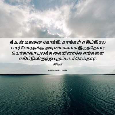 Picture 06 - உபாகமம் 6:21 TAMIRV - நீ உன் மகனை நோக்கி: - Bible Verse Picture