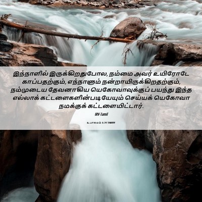 Picture 06 - உபாகமம் 6:24 TAMIRV - இந்நாளில் - Bible Verse Picture