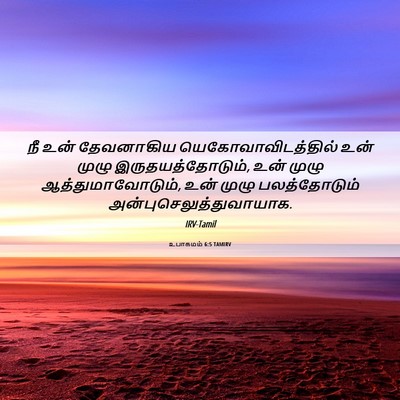 Picture 06 - உபாகமம் 6:5 TAMIRV - நீ உன் தேவனாகிய - Bible Verse Picture