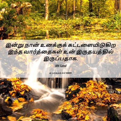 Picture 06 - உபாகமம் 6:6 TAMIRV - இன்று நான் - Bible Verse Picture