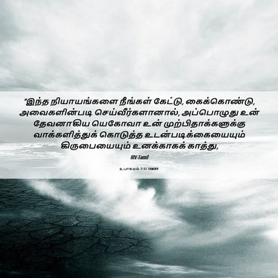 Picture 06 - உபாகமம் 7:12 TAMIRV - “இந்த நியாயங்களை - Bible Verse Picture