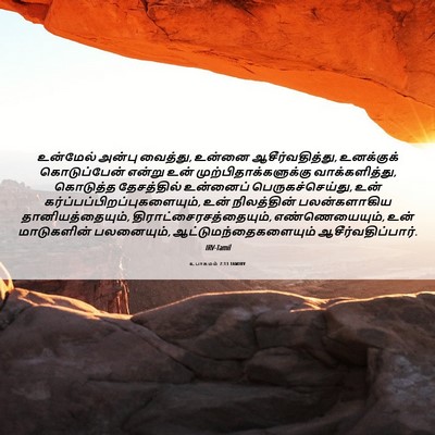 Picture 06 - உபாகமம் 7:13 TAMIRV - உன்மேல் அன்பு - Bible Verse Picture