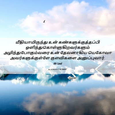 Picture 06 - உபாகமம் 7:20 TAMIRV - மீதியாயிருந்து - Bible Verse Picture