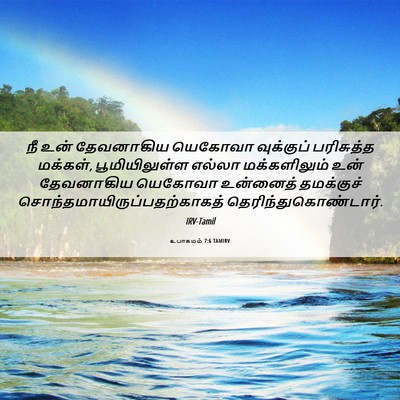 Picture 06 - உபாகமம் 7:6 TAMIRV - நீ உன் தேவனாகிய - Bible Verse Picture