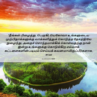 Picture 06 - உபாகமம் 8:1 TAMIRV - “நீங்கள் - Bible Verse Picture