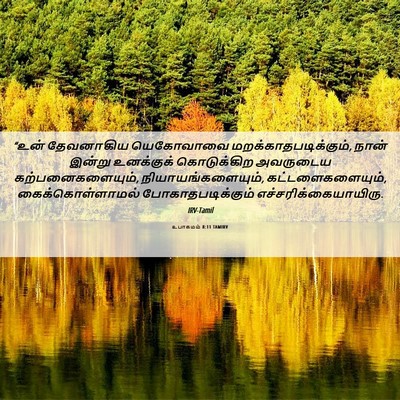Picture 06 - உபாகமம் 8:11 TAMIRV - “உன் தேவனாகிய - Bible Verse Picture