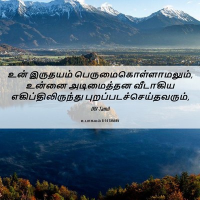 Picture 06 - உபாகமம் 8:14 TAMIRV - உன் இருதயம் - Bible Verse Picture