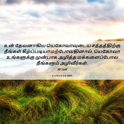 Picture 06 - உபாகமம் 8:20 TAMIRV - உன் தேவனாகிய - Bible Verse Picture