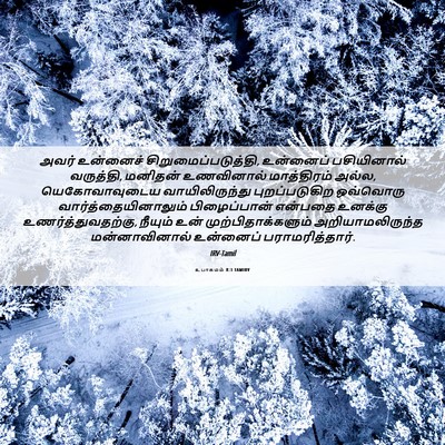 Picture 06 - உபாகமம் 8:3 TAMIRV - அவர் உன்னைச் - Bible Verse Picture