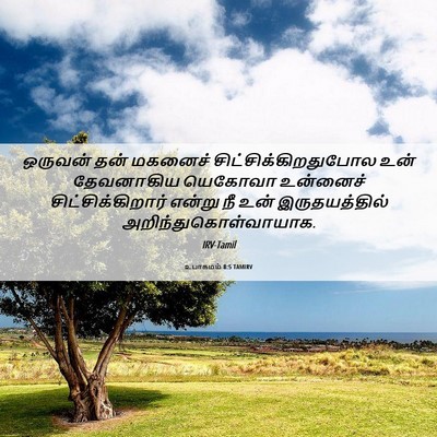 Picture 06 - உபாகமம் 8:5 TAMIRV - ஒருவன் தன் மகனைச் - Bible Verse Picture