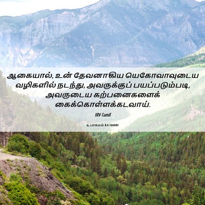 Picture 06 - உபாகமம் 8:6 TAMIRV - ஆகையால், உன் - Bible Verse Picture