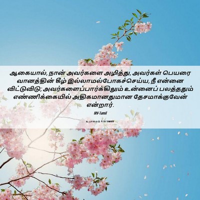 Picture 06 - உபாகமம் 9:14 TAMIRV - ஆகையால், நான் - Bible Verse Picture