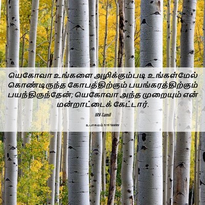 Picture 06 - உபாகமம் 9:19 TAMIRV - யெகோவா உங்களை - Bible Verse Picture