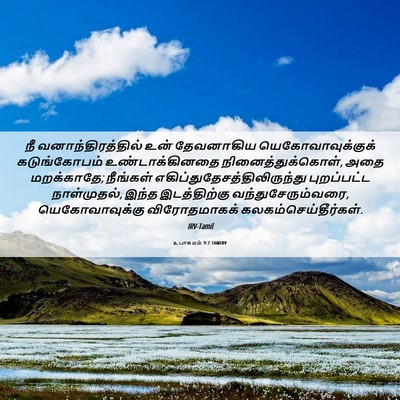 Picture 06 - உபாகமம் 9:7 TAMIRV - நீ வனாந்திரத்தில் - Bible Verse Picture
