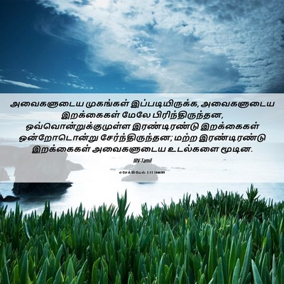 Picture 06 - எசேக்கியேல் 1:11 TAMIRV - அவைகளுடைய - Bible Verse Picture