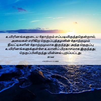 Picture 06 - எசேக்கியேல் 1:13 TAMIRV - உயிரினங்களுடைய - Bible Verse Picture