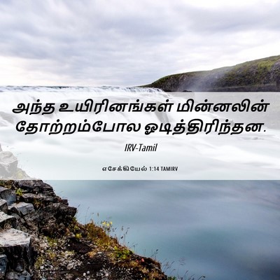 Picture 06 - எசேக்கியேல் 1:14 TAMIRV - அந்த உயிரினங்கள் - Bible Verse Picture