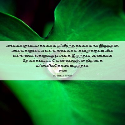 Picture 06 - எசேக்கியேல் 1:7 TAMIRV - அவைகளுடைய கால்கள் - Bible Verse Picture