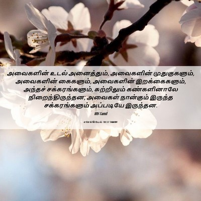 Picture 06 - எசேக்கியேல் 10:12 TAMIRV - அவைகளின் உடல் - Bible Verse Picture