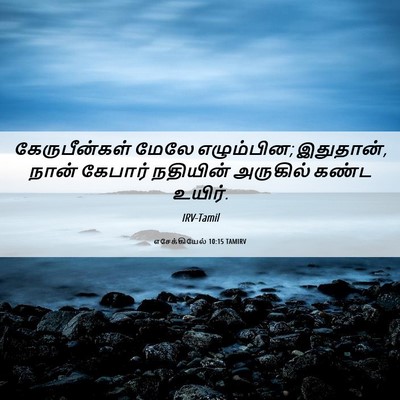 Picture 06 - எசேக்கியேல் 10:15 TAMIRV - கேருபீன்கள் மேலே - Bible Verse Picture
