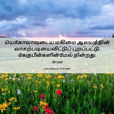 Picture 06 - எசேக்கியேல் 10:18 TAMIRV - யெகோவாவுடைய மகிமை - Bible Verse Picture