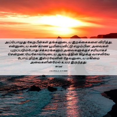 Picture 06 - எசேக்கியேல் 10:19 TAMIRV - அப்பொழுது - Bible Verse Picture