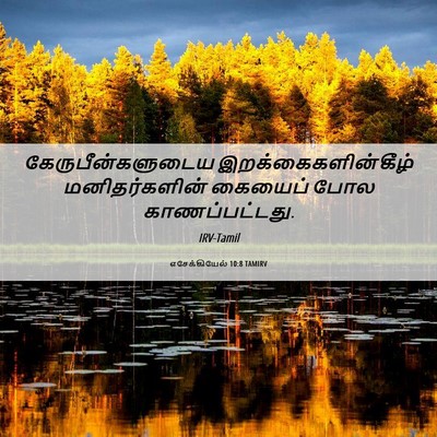 Picture 06 - எசேக்கியேல் 10:8 TAMIRV - கேருபீன்களுடைய - Bible Verse Picture