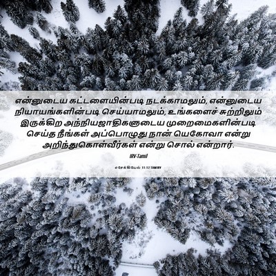 Picture 06 - எசேக்கியேல் 11:12 TAMIRV - என்னுடைய - Bible Verse Picture