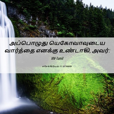 Picture 06 - எசேக்கியேல் 11:14 TAMIRV - அப்பொழுது - Bible Verse Picture