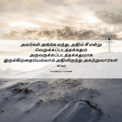 Picture 06 - எசேக்கியேல் 11:18 TAMIRV - அவர்கள் அங்கே - Bible Verse Picture