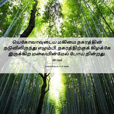 Picture 06 - எசேக்கியேல் 11:23 TAMIRV - யெகோவாவுடைய மகிமை - Bible Verse Picture