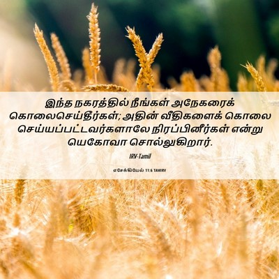 Picture 06 - எசேக்கியேல் 11:6 TAMIRV - இந்த நகரத்தில் - Bible Verse Picture