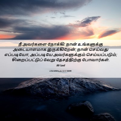 Picture 06 - எசேக்கியேல் 12:11 TAMIRV - நீ அவர்களை நோக்கி: - Bible Verse Picture