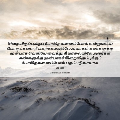 Picture 06 - எசேக்கியேல் 12:4 TAMIRV -  - Bible Verse Picture
