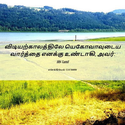 Picture 06 - எசேக்கியேல் 12:8 TAMIRV - விடியற்காலத்திலே - Bible Verse Picture