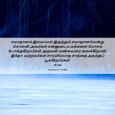 Picture 06 - எசேக்கியேல் 13:10 TAMIRV - சமாதானம் இல்லாமல் - Bible Verse Picture
