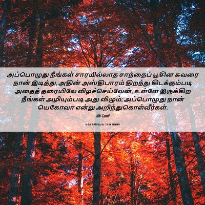 Picture 06 - எசேக்கியேல் 13:14 TAMIRV - அப்பொழுது நீங்கள் - Bible Verse Picture