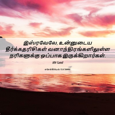 Picture 06 - எசேக்கியேல் 13:4 TAMIRV - இஸ்ரவேலே, - Bible Verse Picture