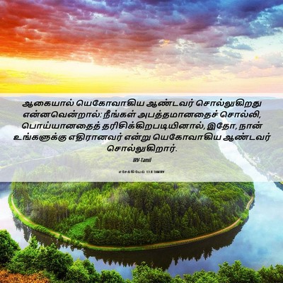 Picture 06 - எசேக்கியேல் 13:8 TAMIRV - ஆகையால் யெகோவாகிய - Bible Verse Picture