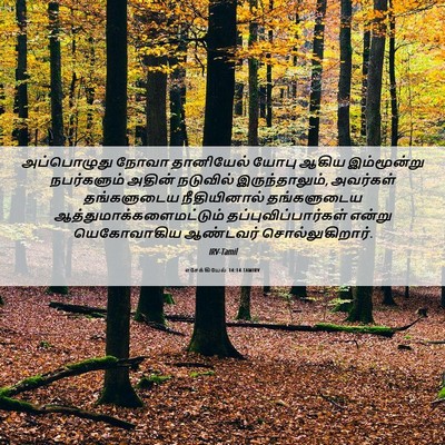 Picture 06 - எசேக்கியேல் 14:14 TAMIRV - அப்பொழுது நோவா - Bible Verse Picture