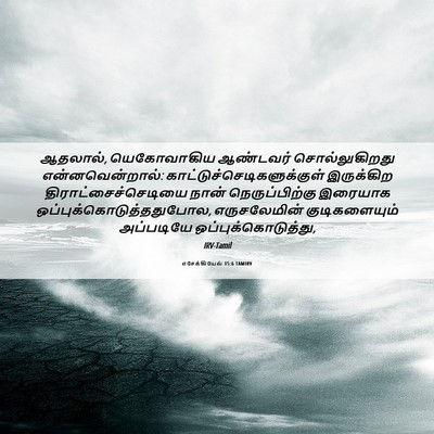 Picture 06 - எசேக்கியேல் 15:6 TAMIRV - ஆதலால், யெகோவாகிய - Bible Verse Picture