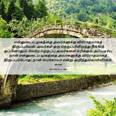 Picture 06 - எசேக்கியேல் 15:7 TAMIRV - என்னுடைய முகத்தை - Bible Verse Picture