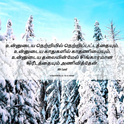 Picture 06 - எசேக்கியேல் 16:12 TAMIRV - உன்னுடைய - Bible Verse Picture
