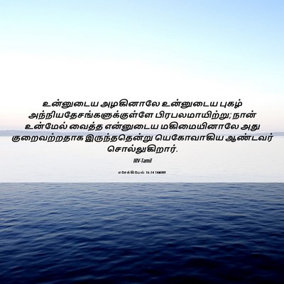 Picture 06 - எசேக்கியேல் 16:14 TAMIRV - உன்னுடைய அழகினாலே - Bible Verse Picture