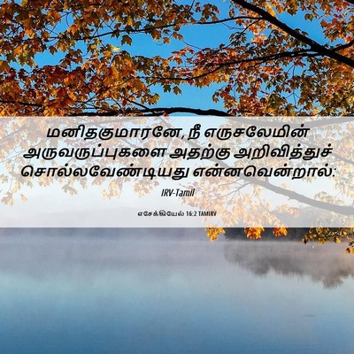 Picture 06 - எசேக்கியேல் 16:2 TAMIRV - மனிதகுமாரனே, நீ - Bible Verse Picture