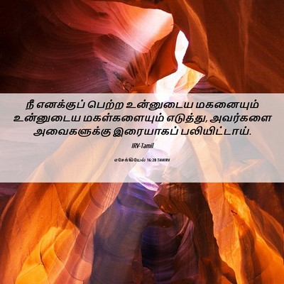 Picture 06 - எசேக்கியேல் 16:20 TAMIRV - நீ எனக்குப் பெற்ற - Bible Verse Picture