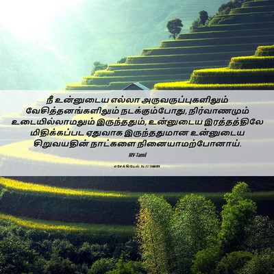 Picture 06 - எசேக்கியேல் 16:22 TAMIRV - நீ உன்னுடைய எல்லா - Bible Verse Picture
