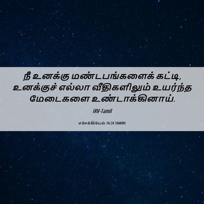 Picture 06 - எசேக்கியேல் 16:24 TAMIRV - நீ உனக்கு - Bible Verse Picture