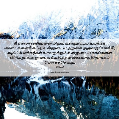 Picture 06 - எசேக்கியேல் 16:25 TAMIRV - நீ எல்லா - Bible Verse Picture